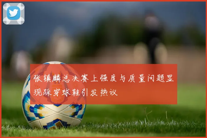 张镇麟总决赛上强度与质量问题显现踩穿球鞋引发热议